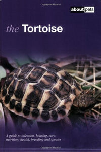 The Tortoise 