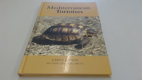 Mediterranean Tortoises