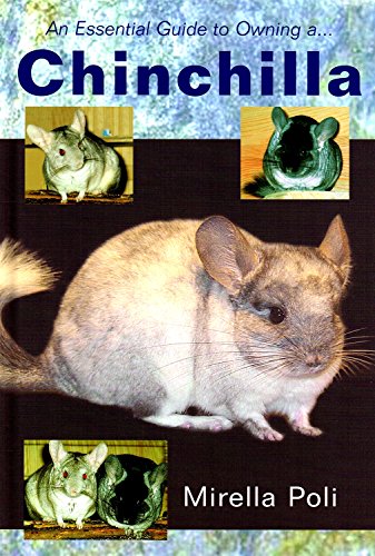 Chinchilla