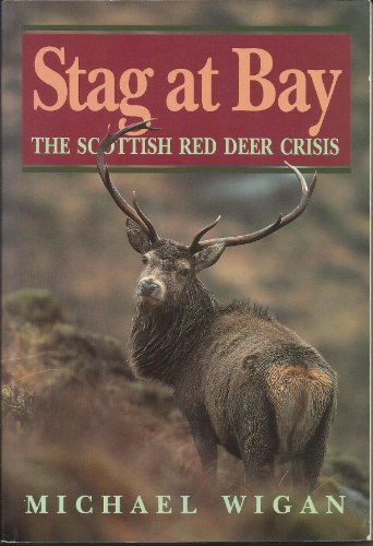 Stag at Bay