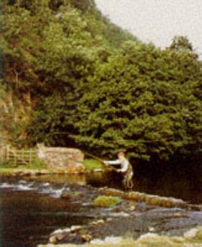 Trout and the Sub-surface Fly