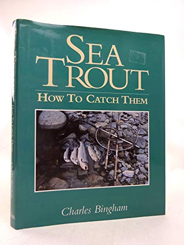 Sea Trout