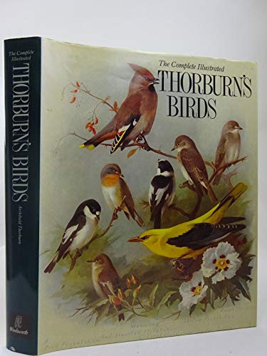 Thorburn's Birds