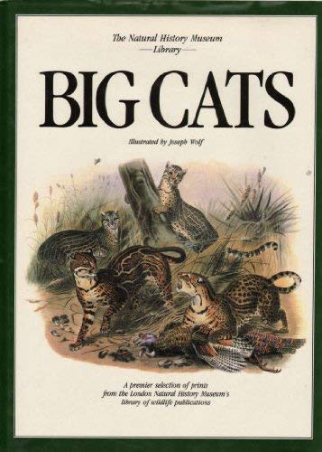 Big Cats