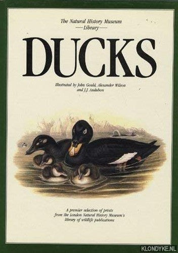 Ducks