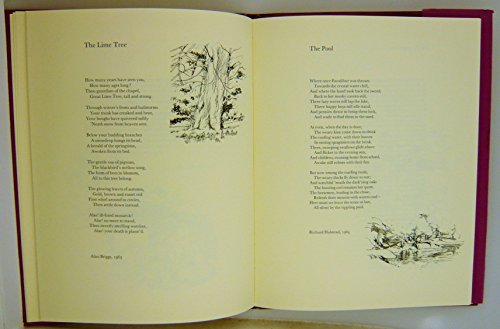 The Anatomy of the Zulu Army