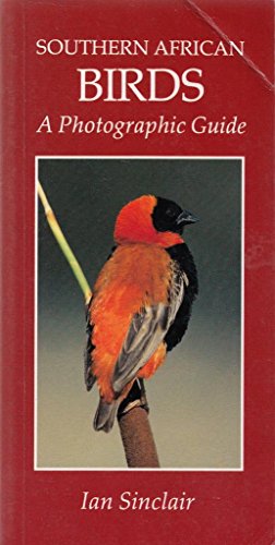 Southern African Birds