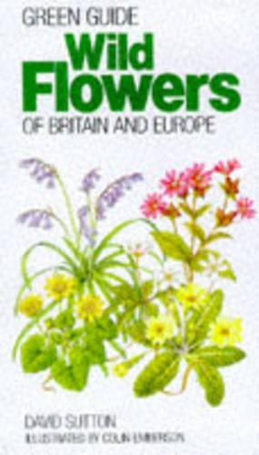 Wild Flowers