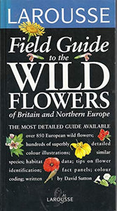 Wild Flowers of Britain and Europe 