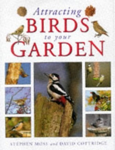 Attracting Birds to Your Garden
