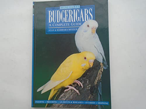 Budgerigars