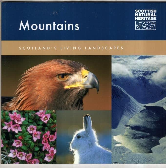 Mountains