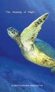 The Meaning of Flight 