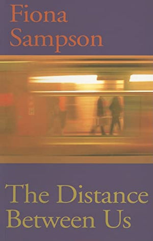 The Distance Between Us