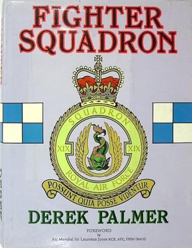 Fighter squadron