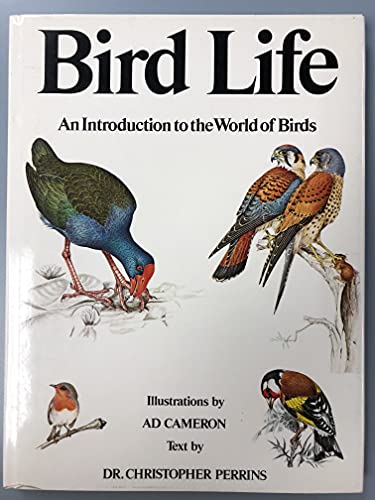 Bird Life