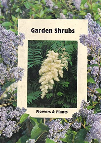 Garden Shrubs