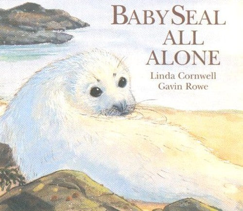 Baby Seal All Alone