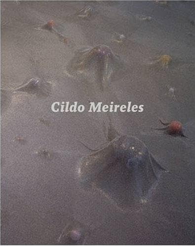 Cildo Meireles