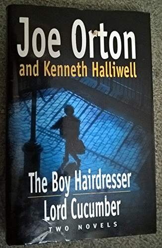 The Boy Hairdresser