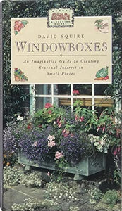 Window Boxes 