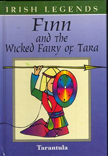 Finn and the Wicked Fairy