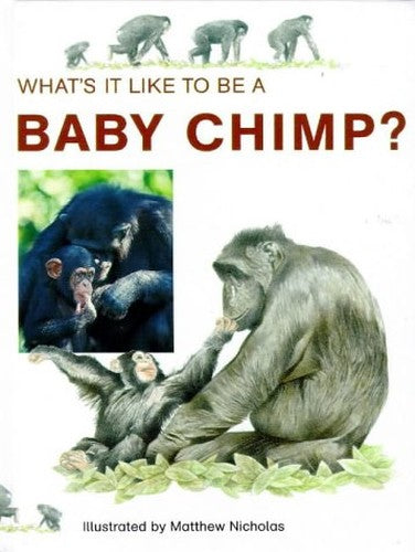 WHATS IT LIKE TO BE A BABY CHIMP