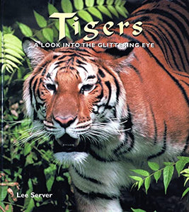 Tigers 