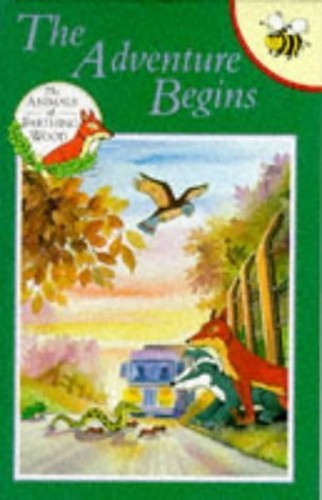 The Adventure Begins