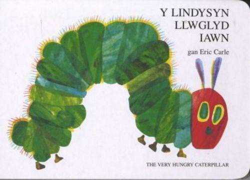 Lindysyn Llwglyd Iawn, Y / Very Hungry Caterpillar, The
