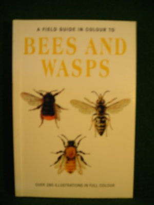 Bees and Wasps