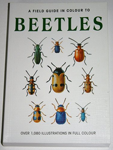 Beetles