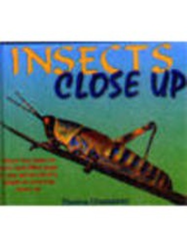 Insects Close Up