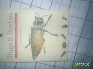 Identifying Bugs and Beetles