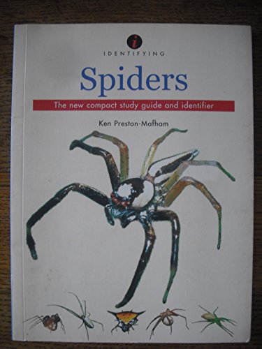 Spiders