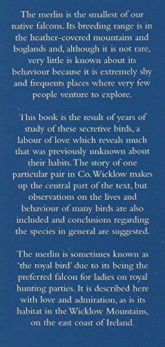 Merlins of the Wicklow Mountains