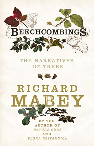 Beechcombings