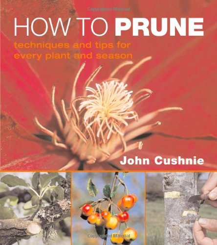 How to Prune