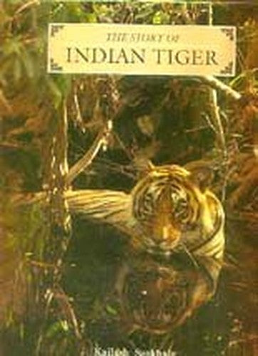 Indian Tiger
