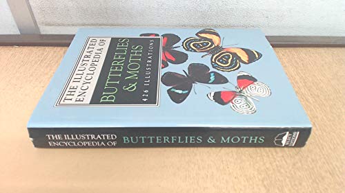 The Illustrated Encyclopedia of Butterflies and Moths