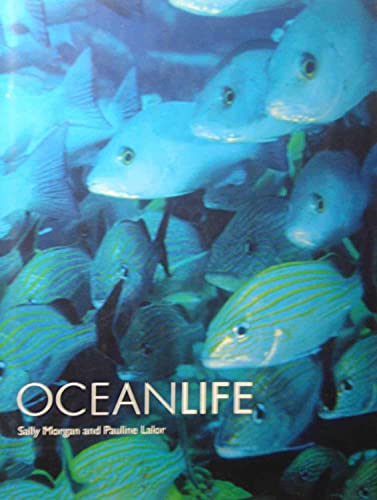 Ocean Life