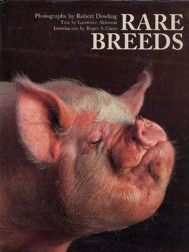 Rare Breeds