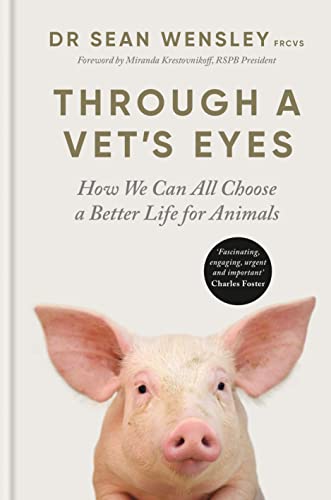 Through A Vets Eyes