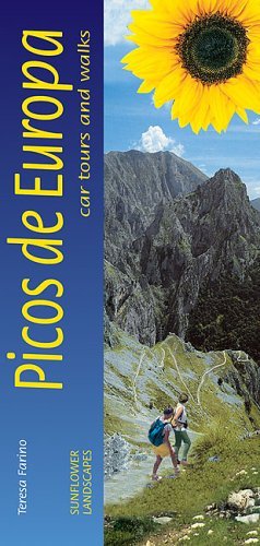 Picos De Europa