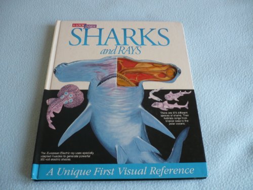 Sharks and Rays
