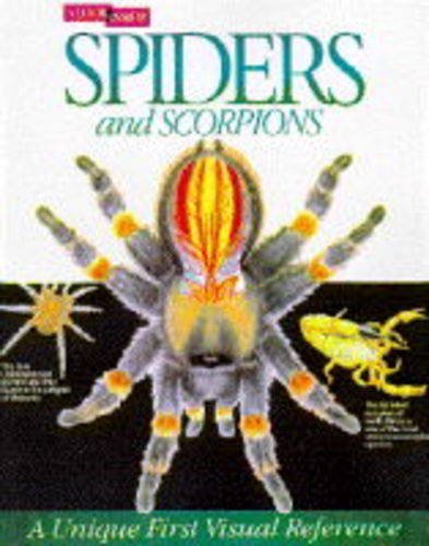 Spiders and Scorpions