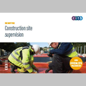 Construction Site Supervision 