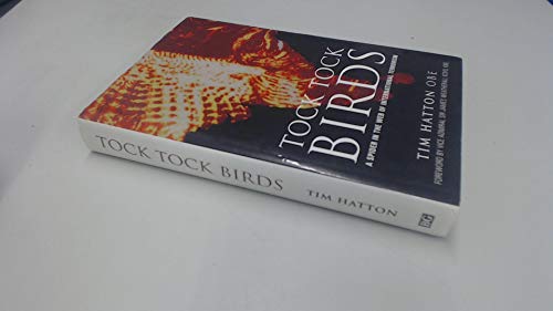 Tock Tock Birds
