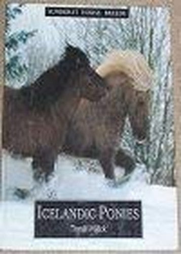 Icelandic Ponies