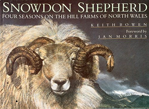 SNOWDON SHEPHERD